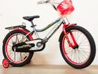 20" Super phoenix 8 to 16 years baby sports best auction