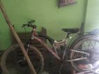 Bicycle for sale