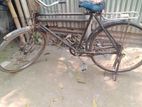 bicycle for sell