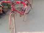 Bicycle for sell