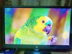 21" LED Monitor