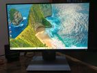 22 Inch Dell Full Hd Monitor