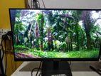 22 Inch IPS Borderless Monitor Hikvision