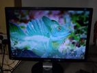 22 PHILIPS brand monitor