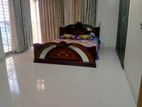2250 sft full furnished apartment rent in banani