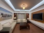 2250 Sft Luxurious Full Furnish Ready Apartment For Rent In Bashundhara