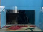 22"x15"x12" Aquarium Tank