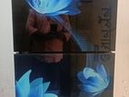 236L Whirlpool Florina Blue Refrigerator