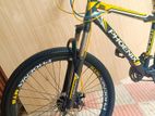 Phoenix Bicycle for sale
