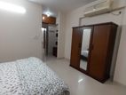 2400sqft Fully Furnished Apartment 3Bed 4Bath Nice View