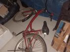 25 size Bicycle with gear