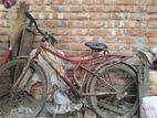 Cycle for sell