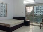 2500sqft. Full Furnish Apartment Rent at Gulshan