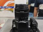 Canon 250 d bodi