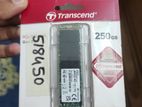 250GB Transcend NVMe SSD (M-Key)