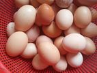 Egg sell