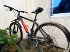26" 10 Gear Cycle