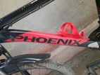 Phoenix bicycles