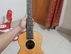 26 inc ukulele