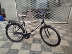 Duranta Bicycle for sale