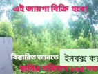২৬০০ গাছ সহ জায়গা বিক্রি
