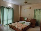 2700 SqFt Fully Furnished Luxurious Apartment Rent In Gulshan