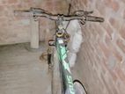 Phoenix Bicycle For Sale