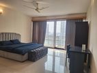 2800Sqft Luxurious Fully Furnished Nice Apartment For Rent 3Bed 4Bath