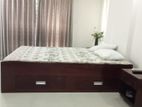 2800sqFt.Full Furnish Gym Swimming Apartment Rent At Gulshan