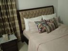 2850 sft full furnished nice apartment rent in gulshan