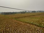 288000 sqft. (20 Bigah) open industry land for rent at Mawna, Sreepur