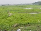 29 Bigha Land Sell For Factory Or Housing Project