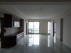 2950 SqFt Exclusive Apartment For Rent In GULSHAN