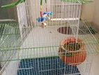 Cage for sale