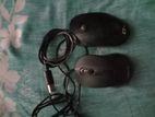 Mouse for sell