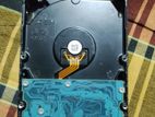 2tb Toshiba Hard Dicks