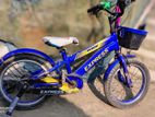 Express Bicycle for sale