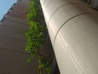 3 Bed 4 Bath 6 Varanda Apartment For Sale