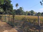 3 bigha land rent for factory/warehouse in Birulia Savar (31)