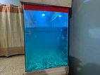 3 feet fish aquarium