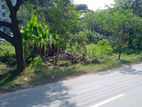 ৩ কাঠার প্লট বিক্রয় L ব্লক বসুন্ধরা !!