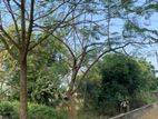 3 Katha for Sale : Excellent Sector- 18 || Purbachal