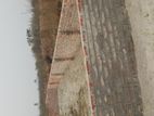3 katha land sale P-block with boundary@Bashundhara