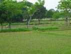 3 Katha Luxurious Plot #sector-9