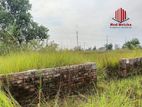 【3 Katha| N Block| Plot Sell |Bashundhara R/A】