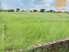 3 Katha Plot is Ready For Sale Quite Good Location In N-Block