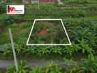 3 Katha plot near 100ft Road & Lake.