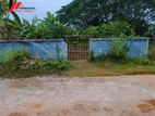 3 Katha Plot Near 100ft. Road.