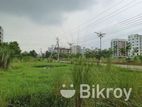 3 Katha plot sale L black Bashundhara