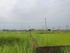 ⌈ 3 Katha Ready Plot for Sale in N Block ⌋